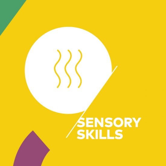 Sensory Skills Professional Sca Presencial Maxi Café