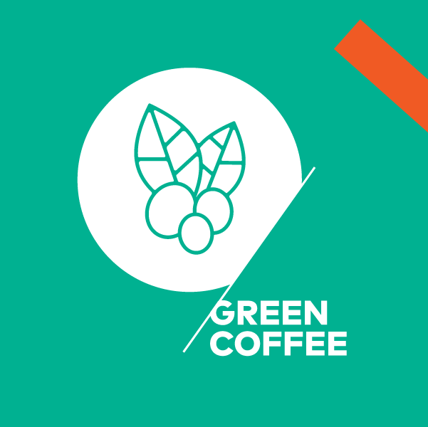 SCA green coffee maxi café